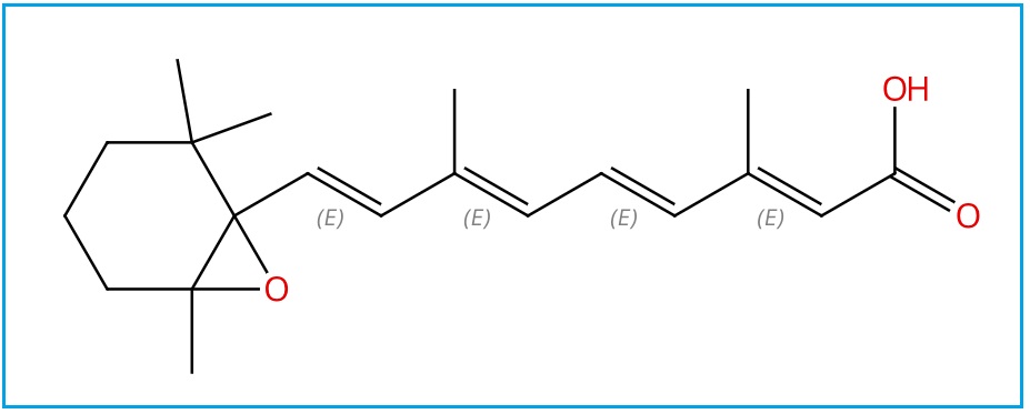 TRETINOIN IMPURITY G | ALLMPUS